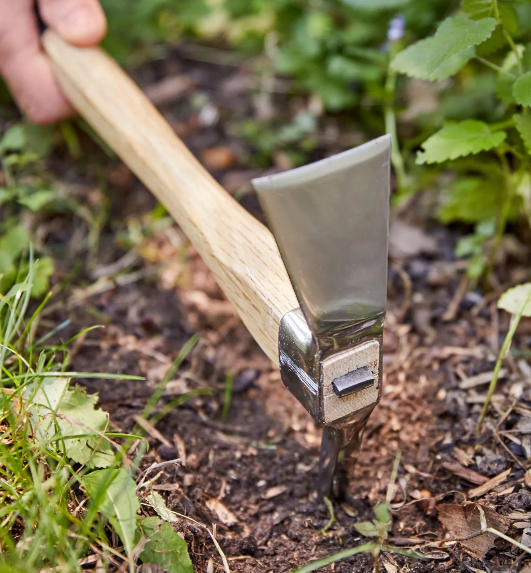 Clearance Stainless-Steel Pick Mattock Weeding