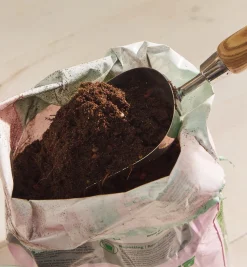 Online Stainless-Steel Scoop Indoor Gardening