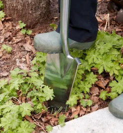 Online Stainless-Steel Transplant Spade Spades