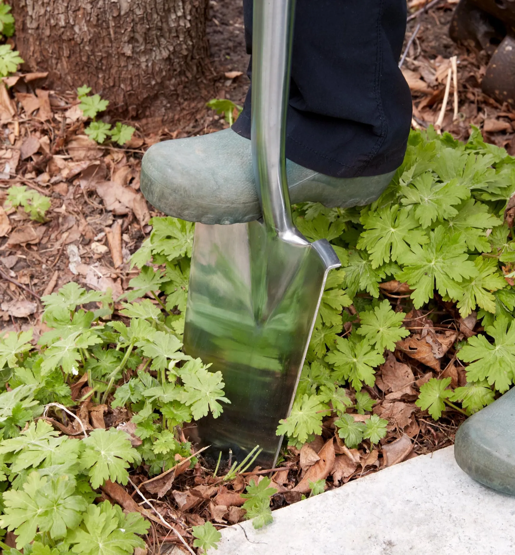Online Stainless-Steel Transplant Spade Spades