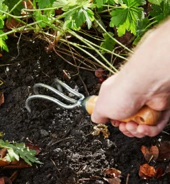 Clearance Start A Garden Bed Set Garden Care