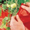 Sale Super Red Mulch Weeding