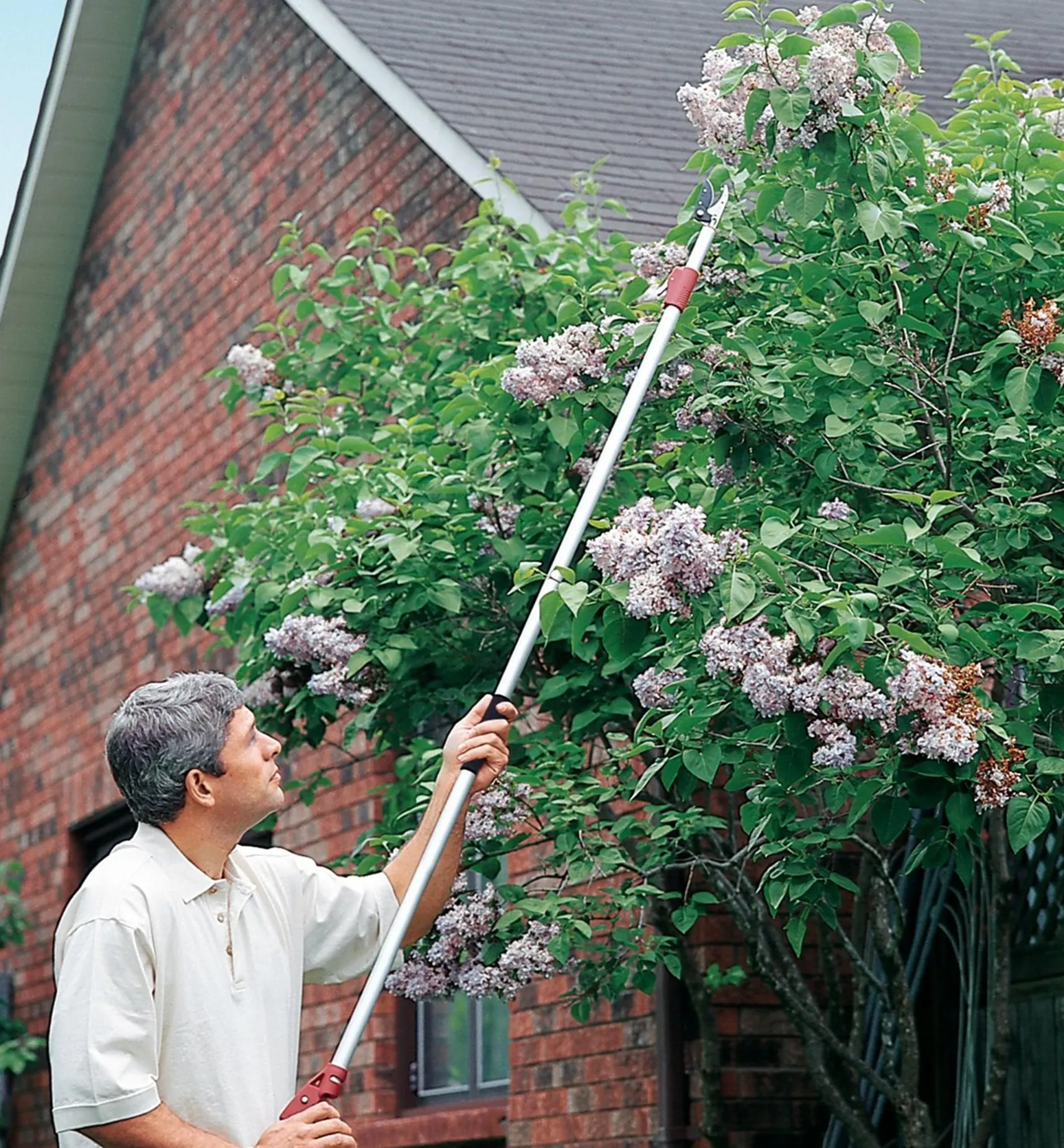 Clearance Telescoping Long-Arm Pruner Pruners