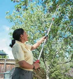 Clearance Telescoping Long-Arm Pruner Pruners