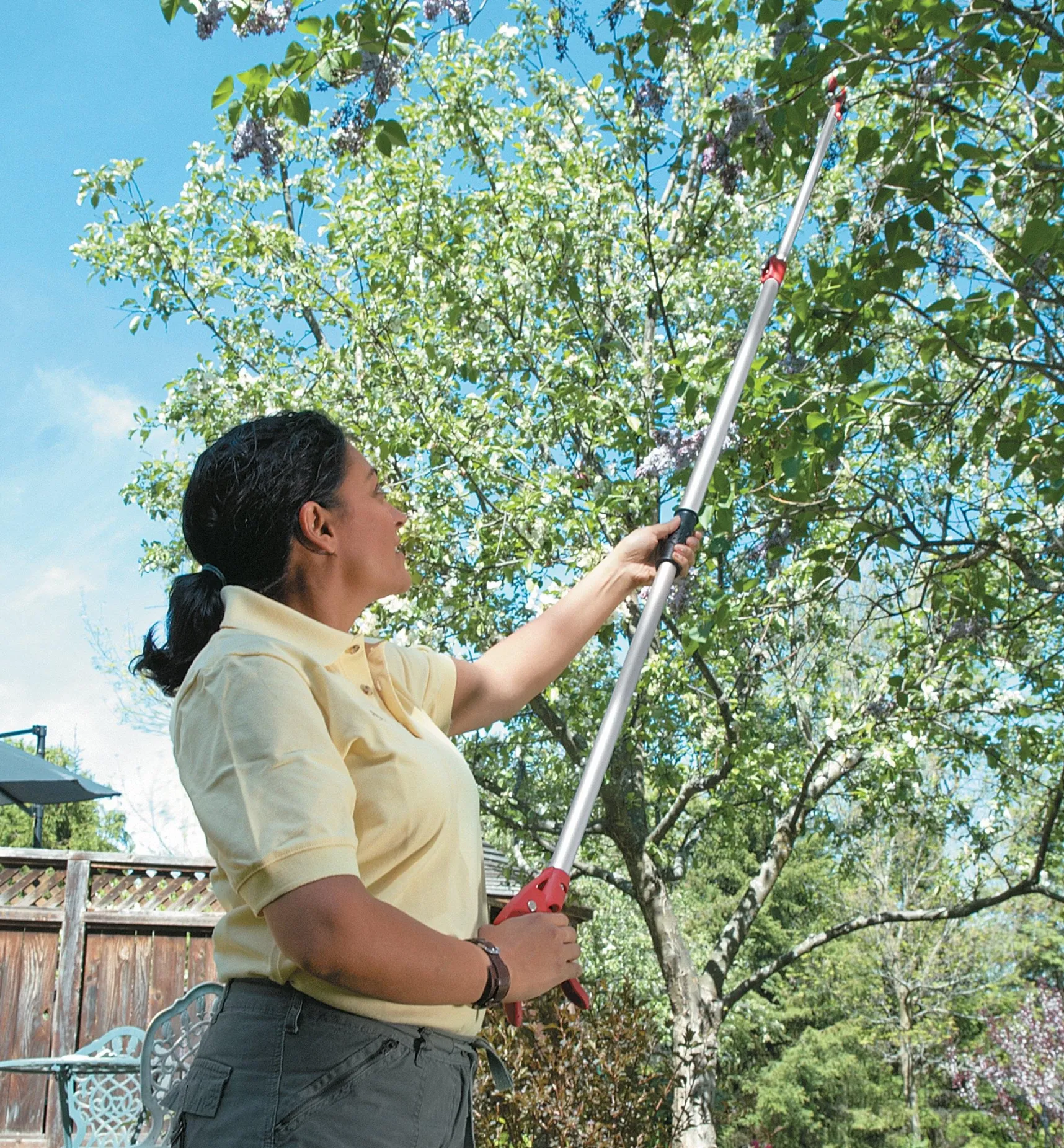 Clearance Telescoping Long-Arm Pruner Pruners