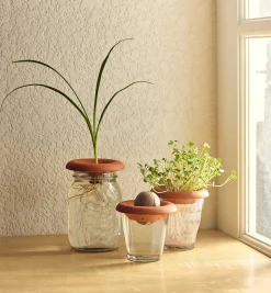 Discount Terra Cotta Seed Sprouters Propagation