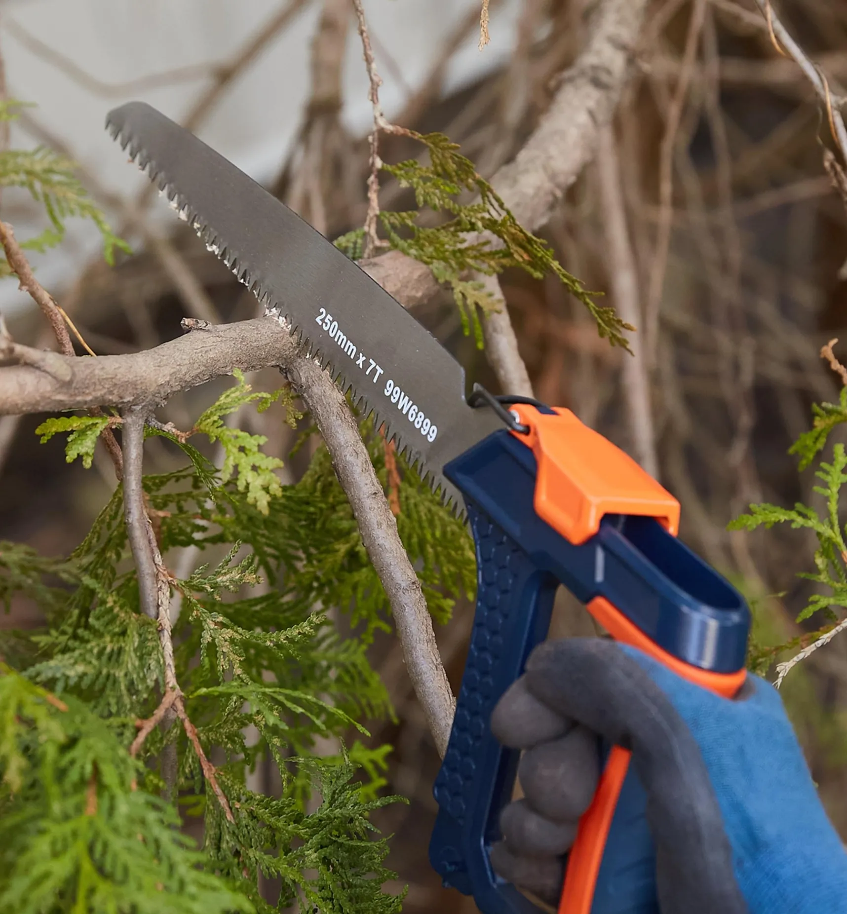 The Shed Saw Saws