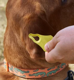 Best Tick Key Tick Remover Pest Control