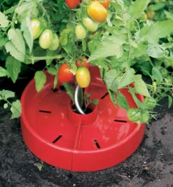 Online Tomato Craters Weeding