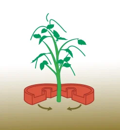 Online Tomato Craters Weeding
