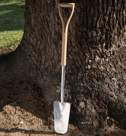 Best Transplant Spade Spades