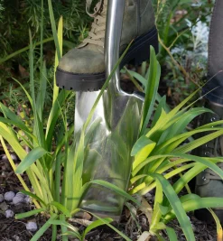 Best Transplant Spade Spades
