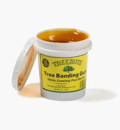 New Tree Banding Gum Pest Control