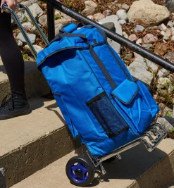Discount Ultimate Carryall Storage & Organization