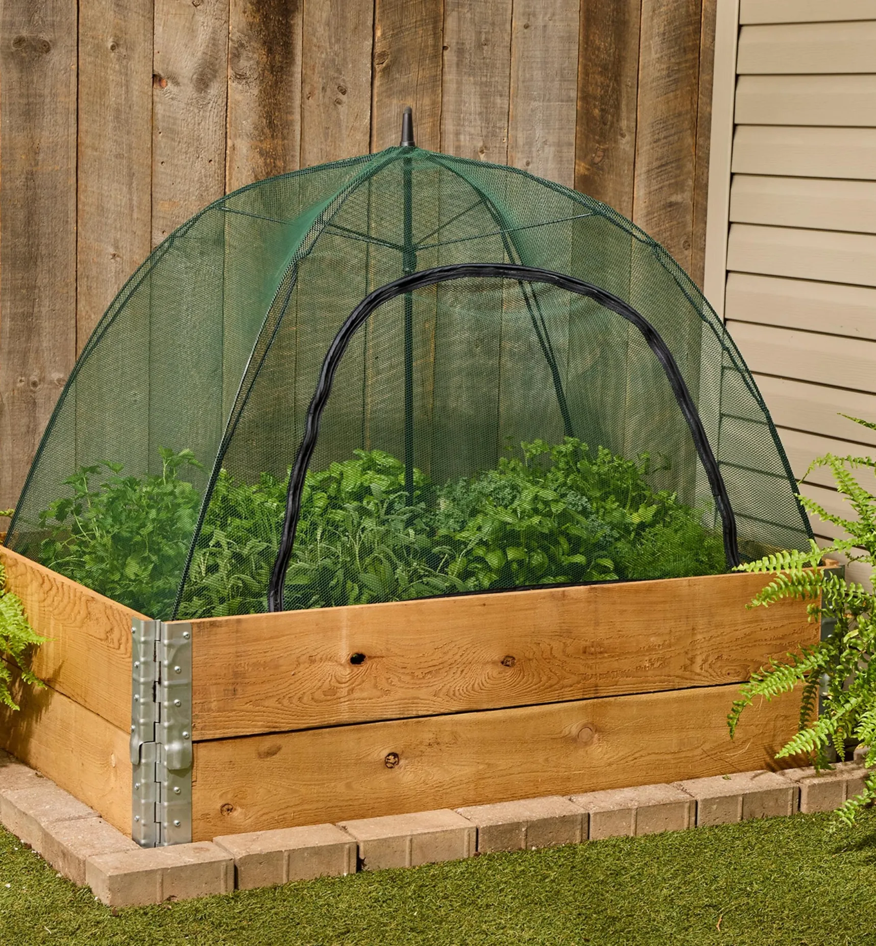 Sale Umbrella Plant Dome Pest Control