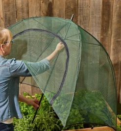 Sale Umbrella Plant Dome Pest Control