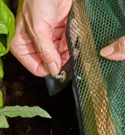 Sale Umbrella Plant Dome Pest Control