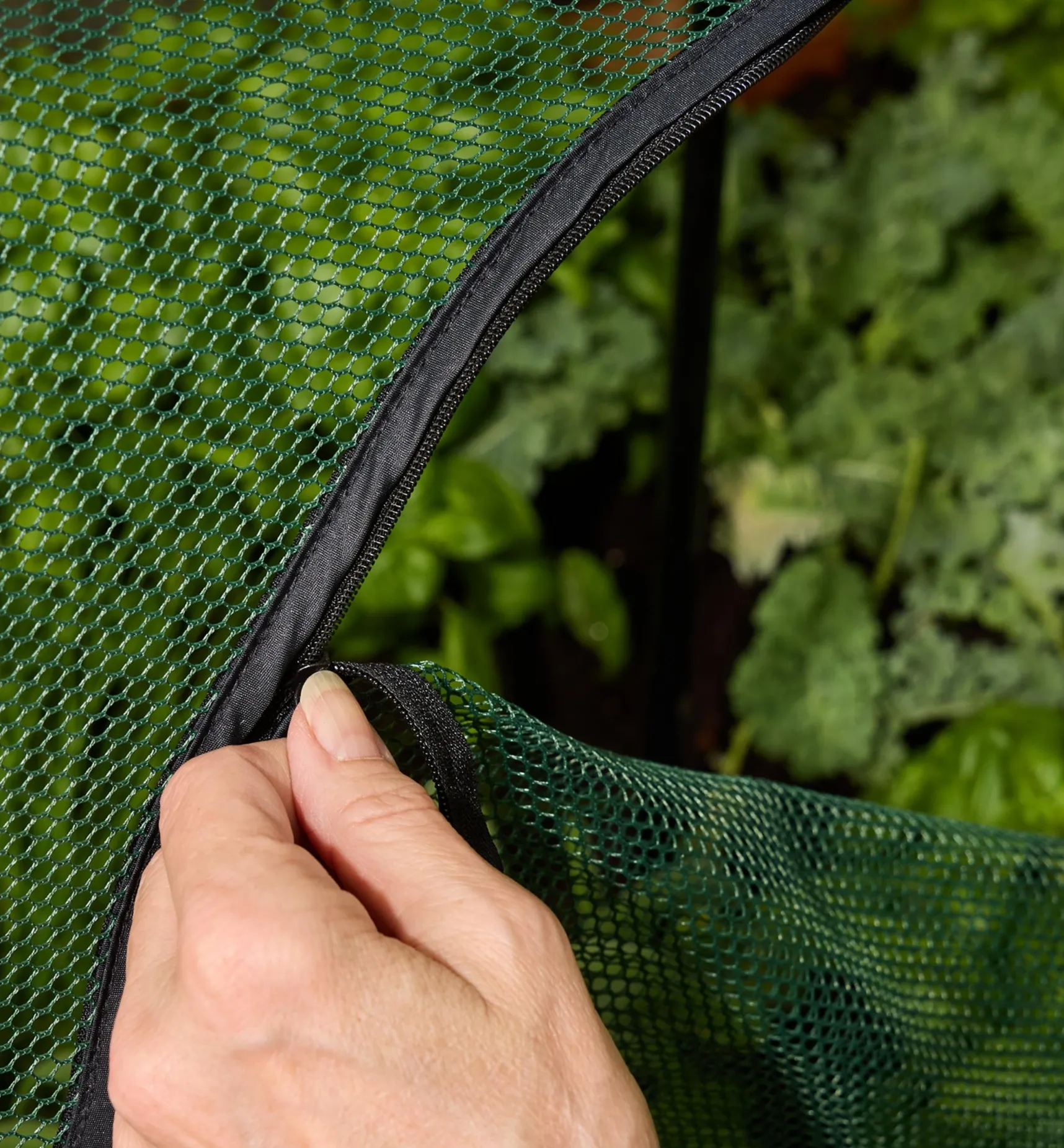 Sale Umbrella Plant Dome Pest Control