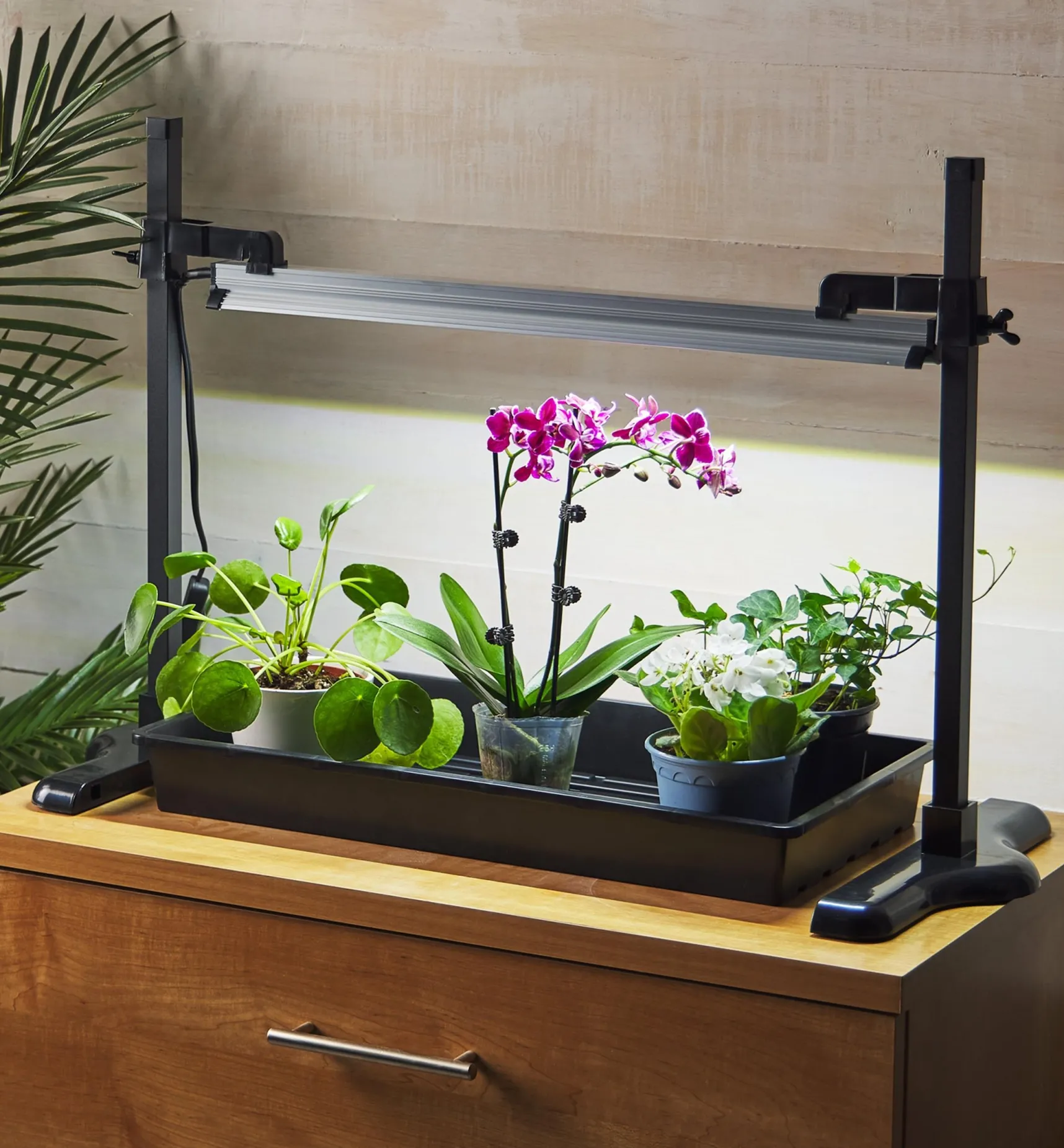 Hot Universal LED Grow Light Stand Grow Lights