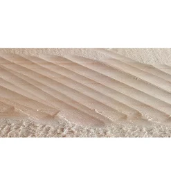 Hot Veritas Scrub Plane Planes