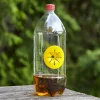 Wasp & Hornet Trap Pest Control