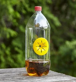 Wasp & Hornet Trap Pest Control