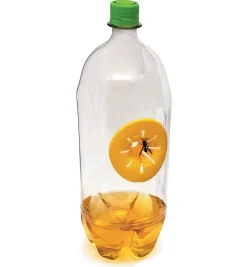 Wasp & Hornet Trap Pest Control