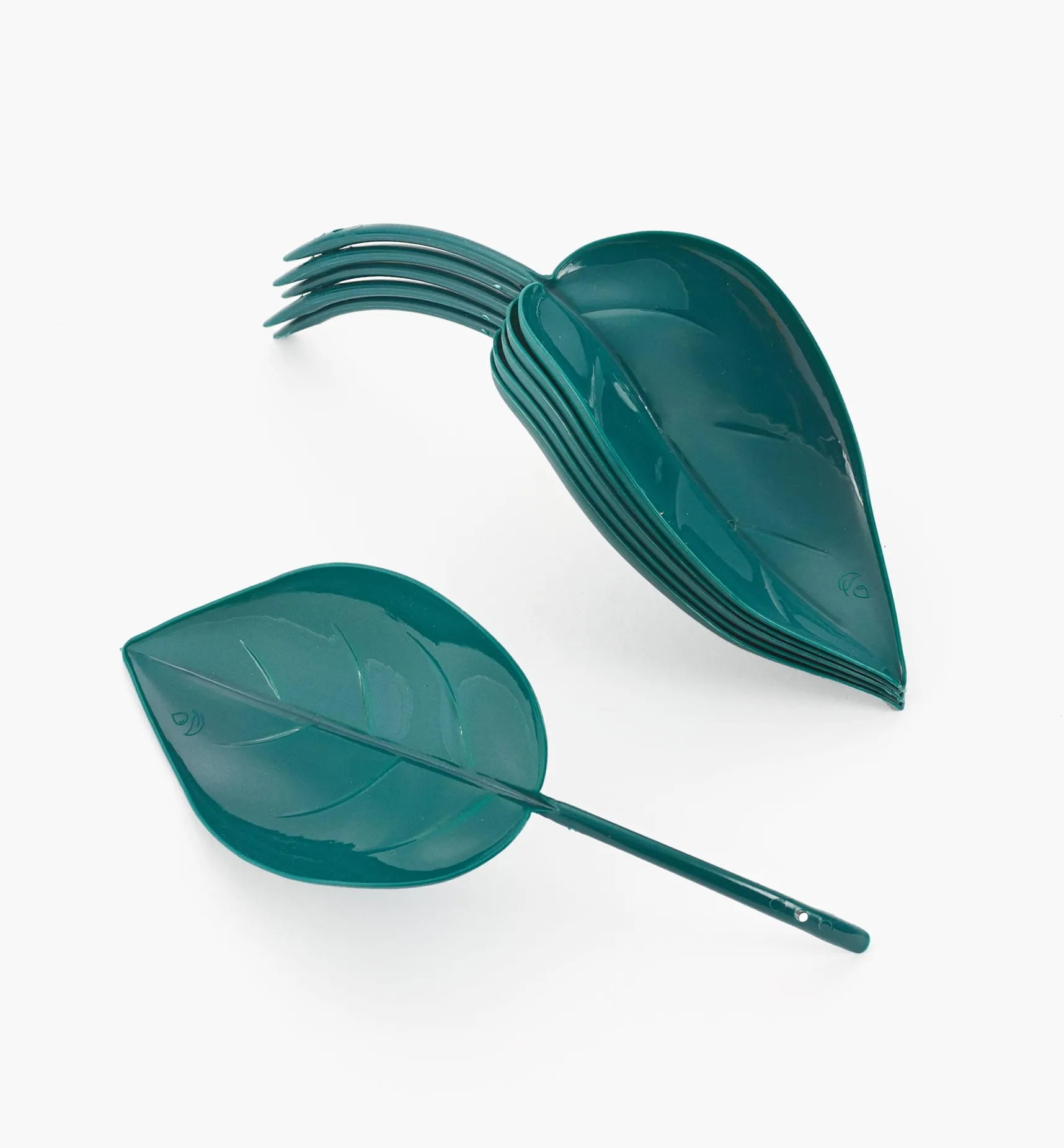 Clearance Watering Leaves Indoor Gardening