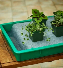 Best Watering Mat Indoor Gardening