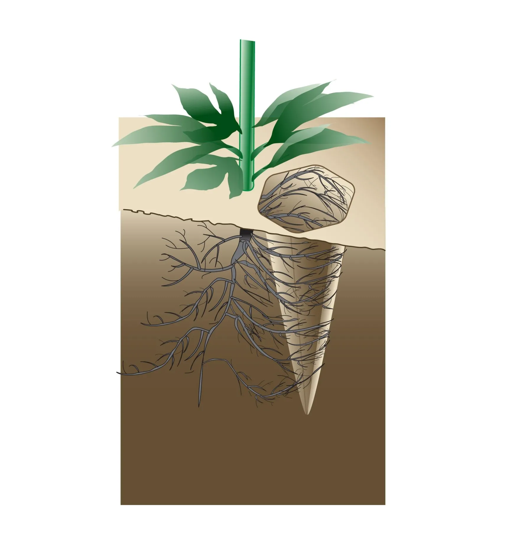 Hot Watering Spikes Indoor Gardening