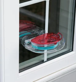 Sale Window Hummingbird Feeder Birding