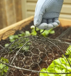 Best Wire Plant Protectors Plant Protection