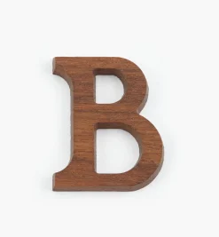 Outlet Wooden Letters & Numerals Project Supplies